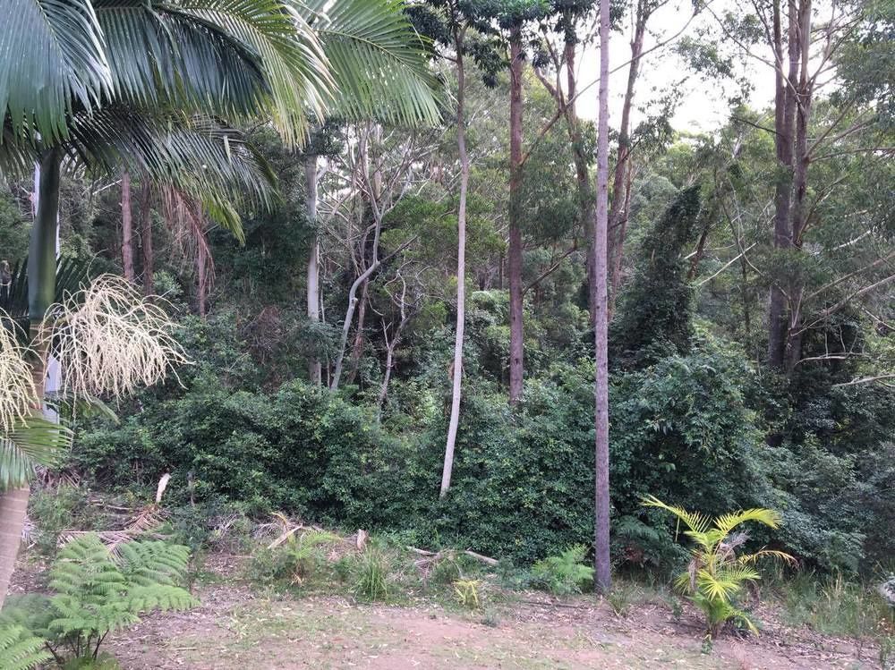 Mapleton Cabins & Caravan Park Ngoại thất bức ảnh